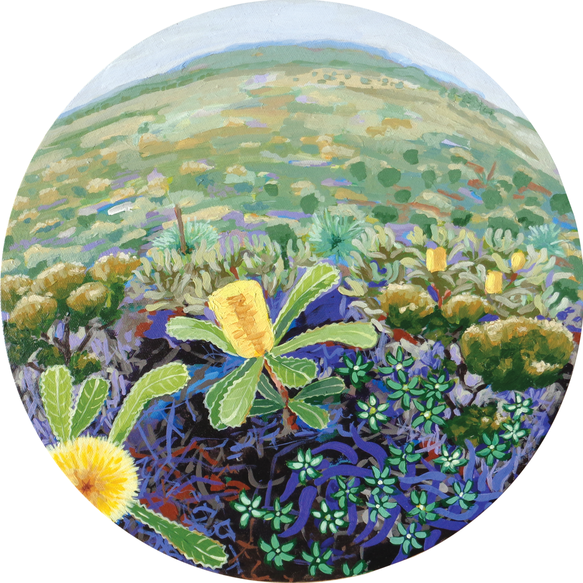 Set of 4 Coastal Banksia Placemats wildhomedesigns